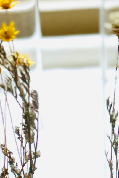 How Technology Has Revolutionized the Art of Drying Flowers