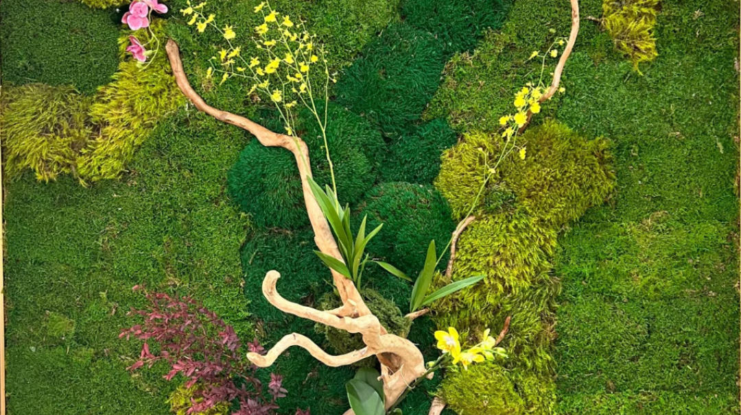 Breathing Moss: The 2026 Design Trend Redefining Biophilic Spaces