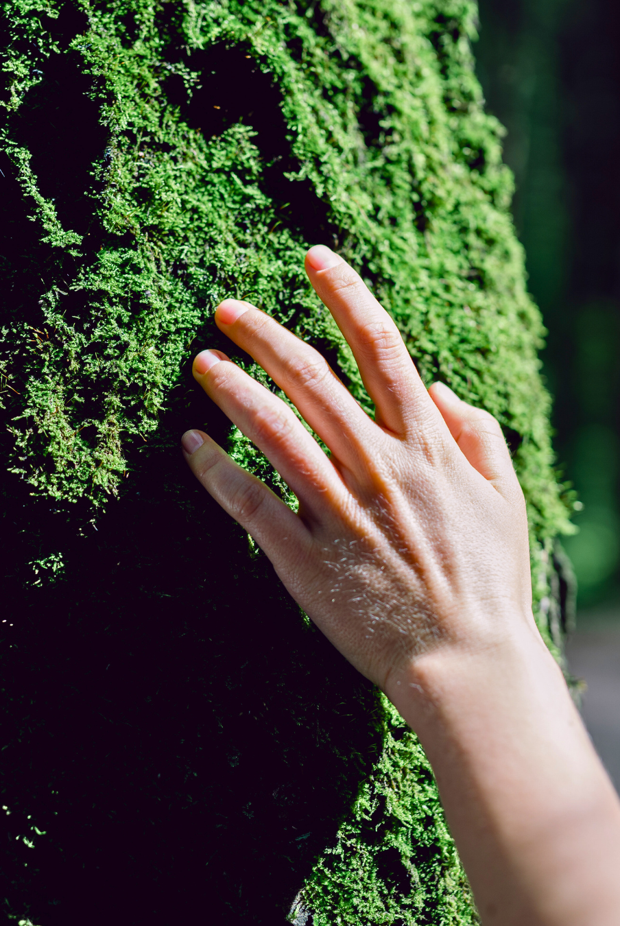 The Power of Customization in Biophilic Design: Tailoring Harmony to Your Space