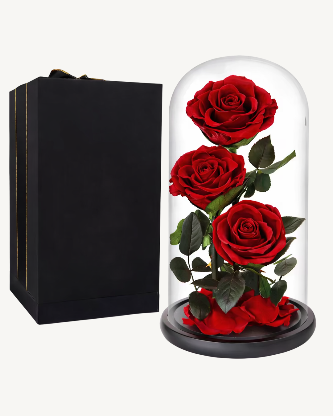 Three red forever roses in a glass dome with a black gift box on a white background | Fleur Reverie