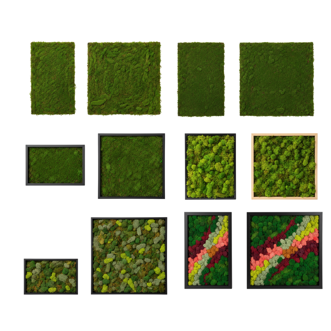 Collection of green textured square moss wall art panels on a white background | Fleur Reverie | Austin TX