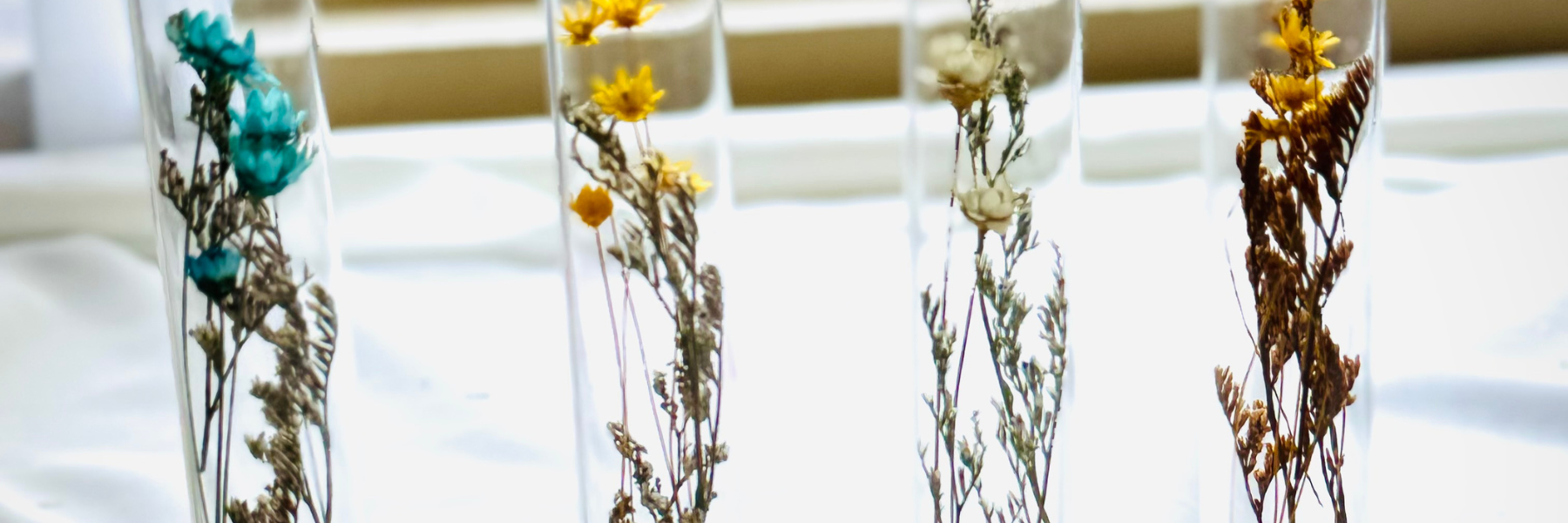 How Technology Has Revolutionized the Art of Drying Flowers