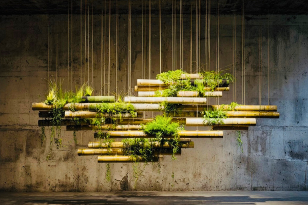 Learn about Fleur Reverie for biophilic decor and floral gifts in Austin to shape your space's energy.
