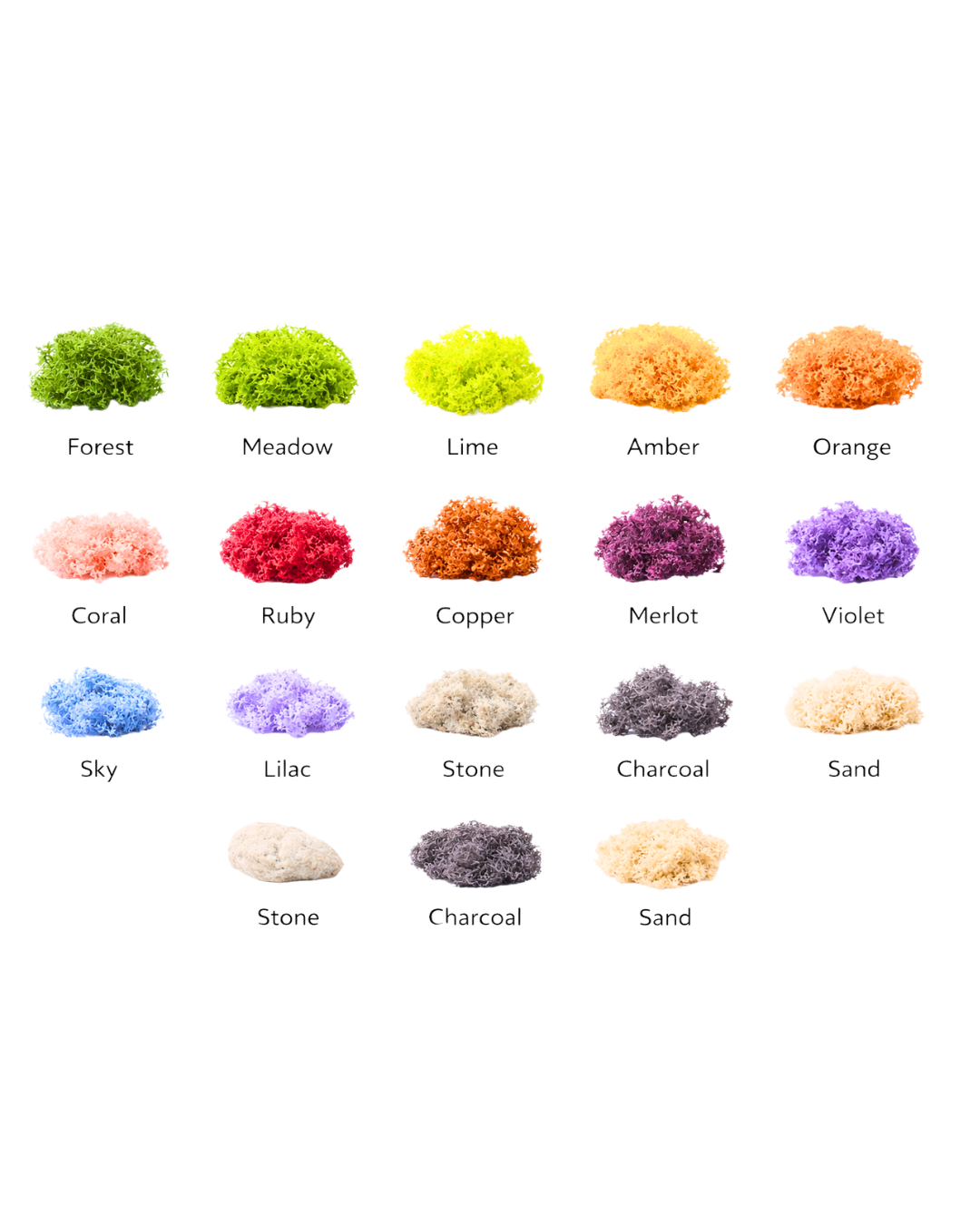 Collection of colored AxioMoss samples with color labels | Fleur Reverie