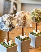 Bulk Forever Flower Corporate Gifting By Fleur Reverie
