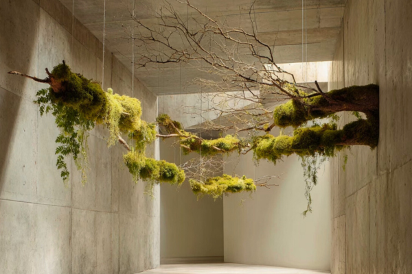 Learn about Fleur Reverie for biophilic decor and floral gifts in Austin to shape your space's energy.
