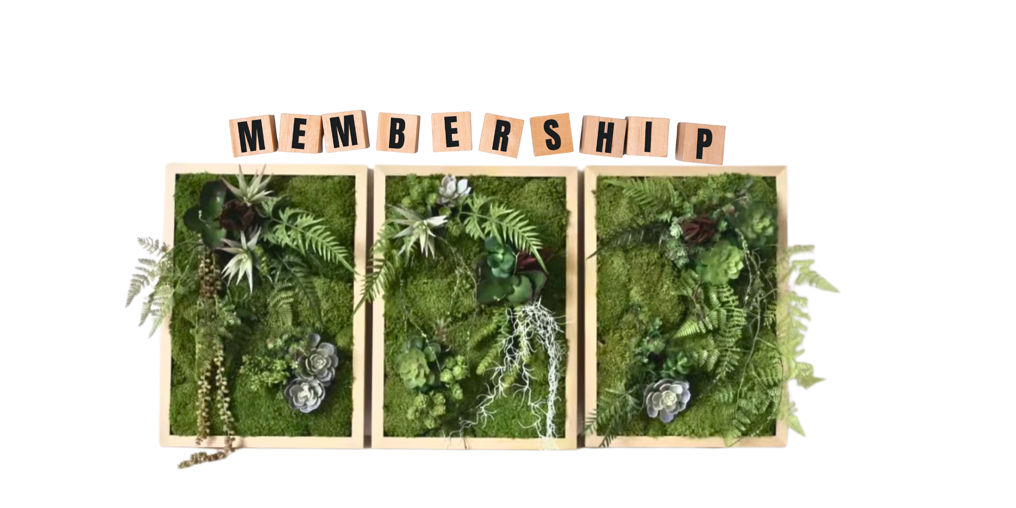 Join Fleur Reverie Membership for 20% off on all orders