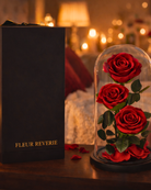 preserved Red roses under a glass dome with 'Fleur Reverie' packaging on a warm-toned background | Fleur Reverie