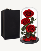 Three red forever roses in a glass dome with a black gift box on a white background | Fleur Reverie