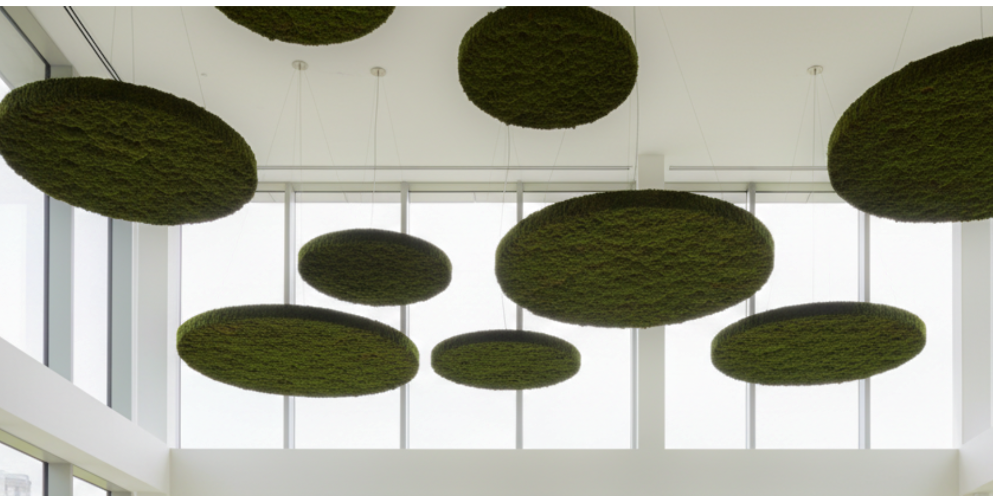 Green acoustic circular panels hanging from a ceiling | Fleur Reverie