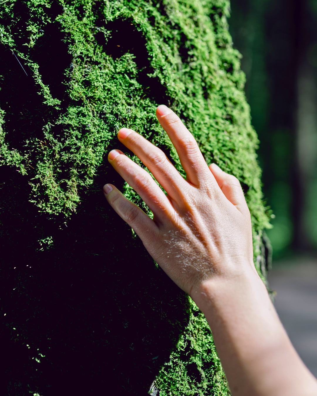 Customization of moss wall at fleur reverie