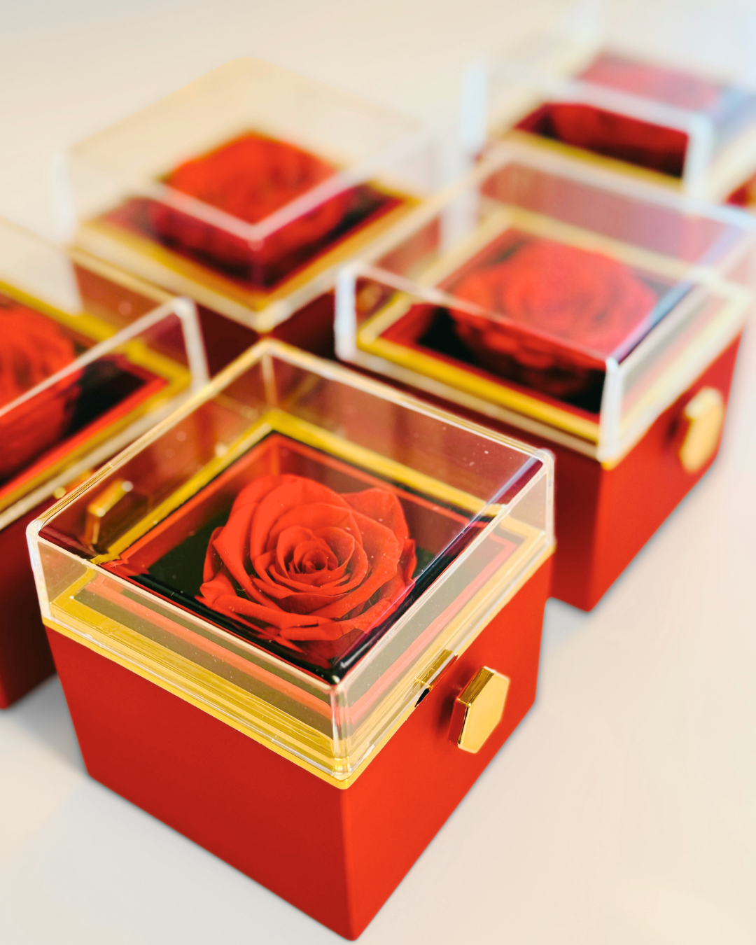 Red preserved roses in transparent boxes with gold accents | Fleur Reverie